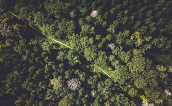Zagrożone gatunki zwierząt i roślin
