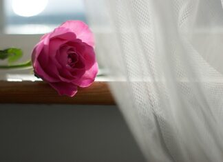 Co ile powinno się zmieniać firanki?