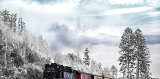 Jak prowadzić wobler na pstrąga?