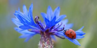 Ile jest punktów za dwutakt? Ile jest punktów za dwutakt?