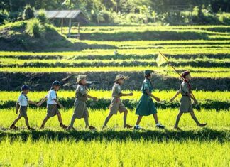 Co to znaczy po angielsku tartan?