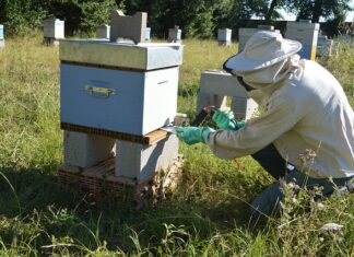 Na czym polega zjawisko sublimacji?