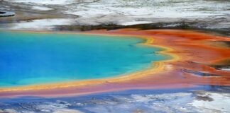 Ile kosztuje dobry kubek termiczny?