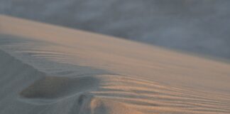 Dlaczego emir Kataru założył Messiemu?