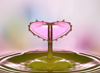 Czy można skakać przy rzucie osobistym? Czy można skakać przy rzucie osobistym?