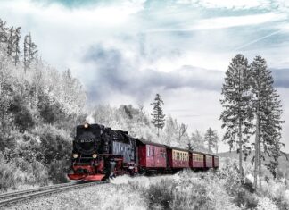 Jakie kolory lubi pstrąg?