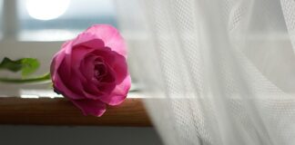 Czy firanki powinny leżeć na podłodze?