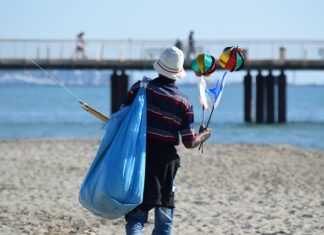Do czego jest krętlik?
