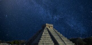 W jakich koszulkach z Meksykiem? W jakich koszulkach z Meksykiem?