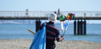 Co to jest krętlik i do czego służy?