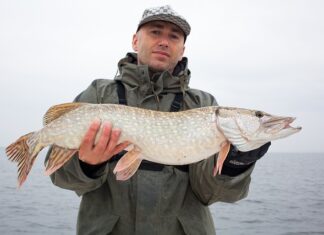 Jak długi przypon na sandacza?