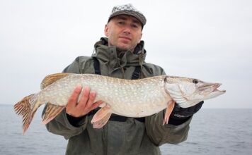 Jak długi przypon na sandacza?