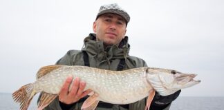 Czy na sandacza potrzebny jest przypon? Czy na sandacza potrzebny jest przypon?