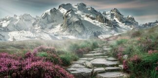 Jak zrobić 10 tys kroków dziennie?