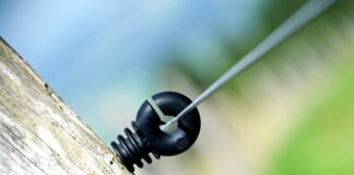 Ile Polaków gra w NBA? Ile Polaków gra w NBA?