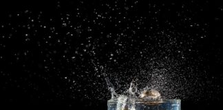 Jak ubrać auto na wesele jako gość?