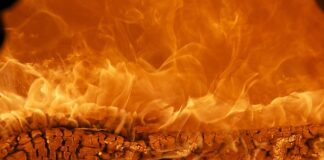 Jaka jest najpopularniejsza marka butów? Jaka jest najpopularniejsza marka butów?