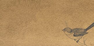 Co ma mankiet? Co ma mankiet?