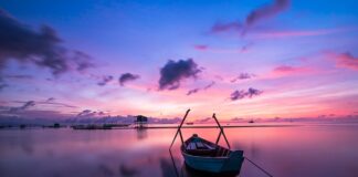 Jaki kolor szalika pasuje do brązowego płaszcza?