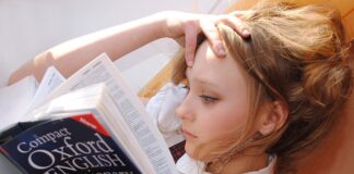 Z jakiego języka pochodzi słowo brosze? Z jakiego języka pochodzi słowo brosze?