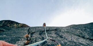 Ile kosztuje karabińczyk? Ile kosztuje karabińczyk?