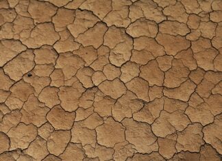 Czy beżowy kolor pogrubia?