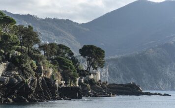 Ile kosztuje Wrap samochodu?