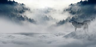 Czy poliester nadaje się na zimę? Czy poliester nadaje się na zimę?