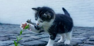 Jakie są drogie buty? Jakie są drogie buty?