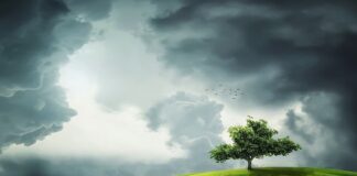 Czy zielony kolor jest modny? Czy zielony kolor jest modny?